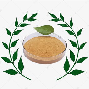 Bacillus Subtilis - Biofungicide 1000x108/g CFU Organic Farming Grade