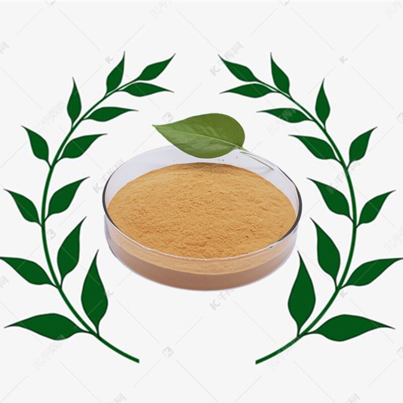 Bacillus Subtilis - Biofungicide 1000x108/g CFU Organic Farming Grade