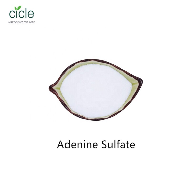 Adenine Sulfate - CAS 321-30-2 Factory Price High Quality Vitamin B4