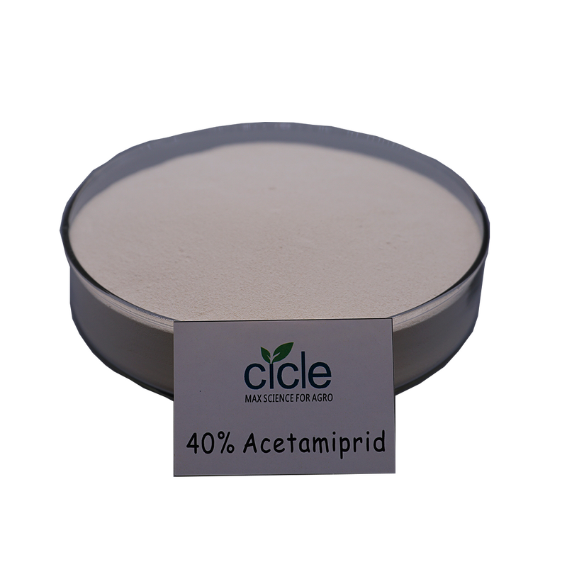 Acetamiprid Insecticide - 40% DF WDG Quick Release CAS 135410-20-7