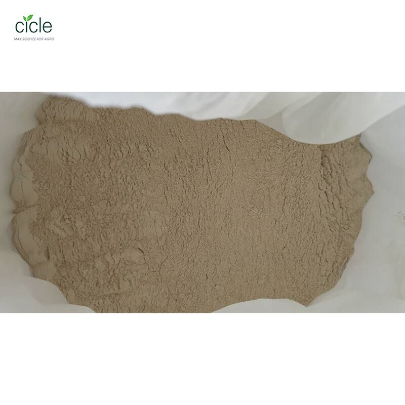 Bacillus Thuringiensis Kurstaki BTK - Chinese Factory Price Mosquito Larvae Destroying