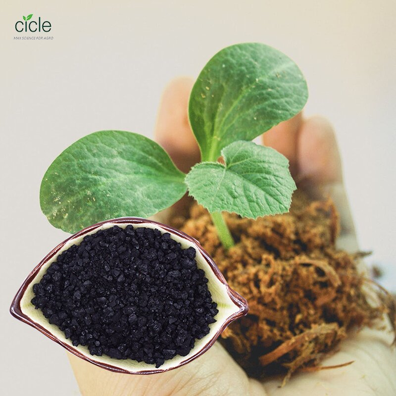 Humic Acid Potassium Humate - Organic Powder Granular Fertilizer