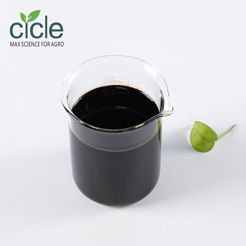 Lentinan Bio Fungicide - Tomato Virus Disease Resistance Inducer Fungous Proteoglycan