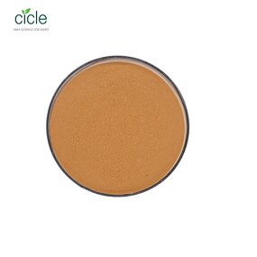 Bacillus Subtilis BS - Biological Fungicide Powder Organic Farming Grade