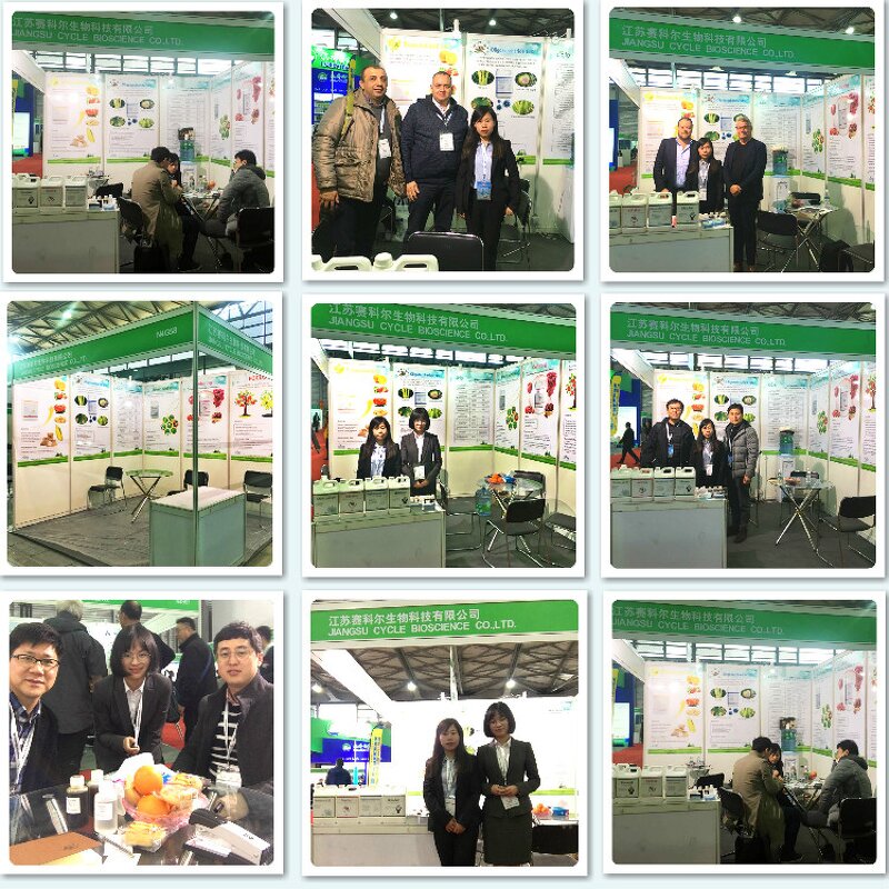 Okra Root Powder - Organic Green Vegetable Plant Extract