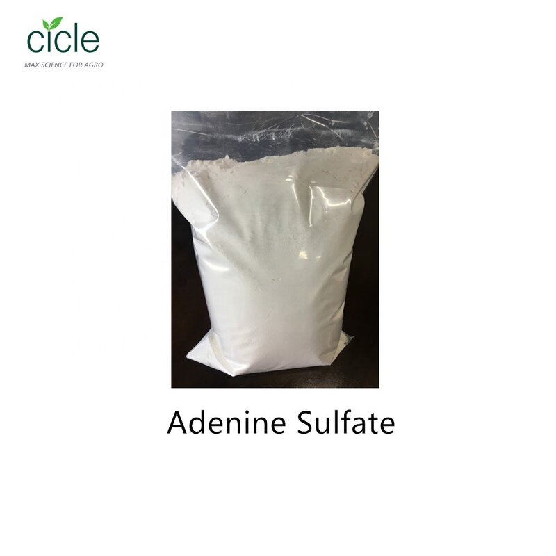 Adenine Sulfate - CAS 321-30-2 Factory Price High Quality Vitamin B4