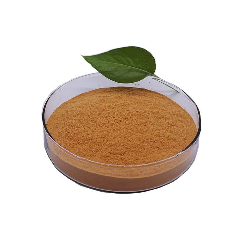 Bacillus Thuringiensis Bt - THURICIDE-HP CAS 68038-71-1 Lepidoptera Pesticide