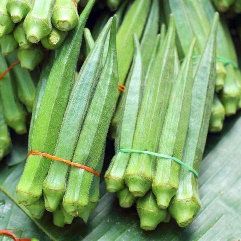 Azoxystrobin Pyroxystrobin - 60% WDG DF New Tech Fungicide