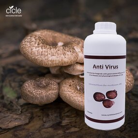 Bio Fungicide - Organic Green House Treat Tomato Virus Disease