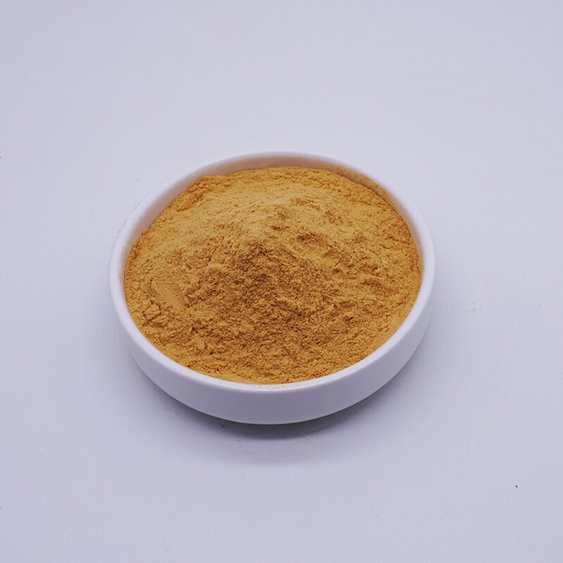 Folic Acid Powder - Food Feed Grade CAS 59-30-3 Vitamin B9