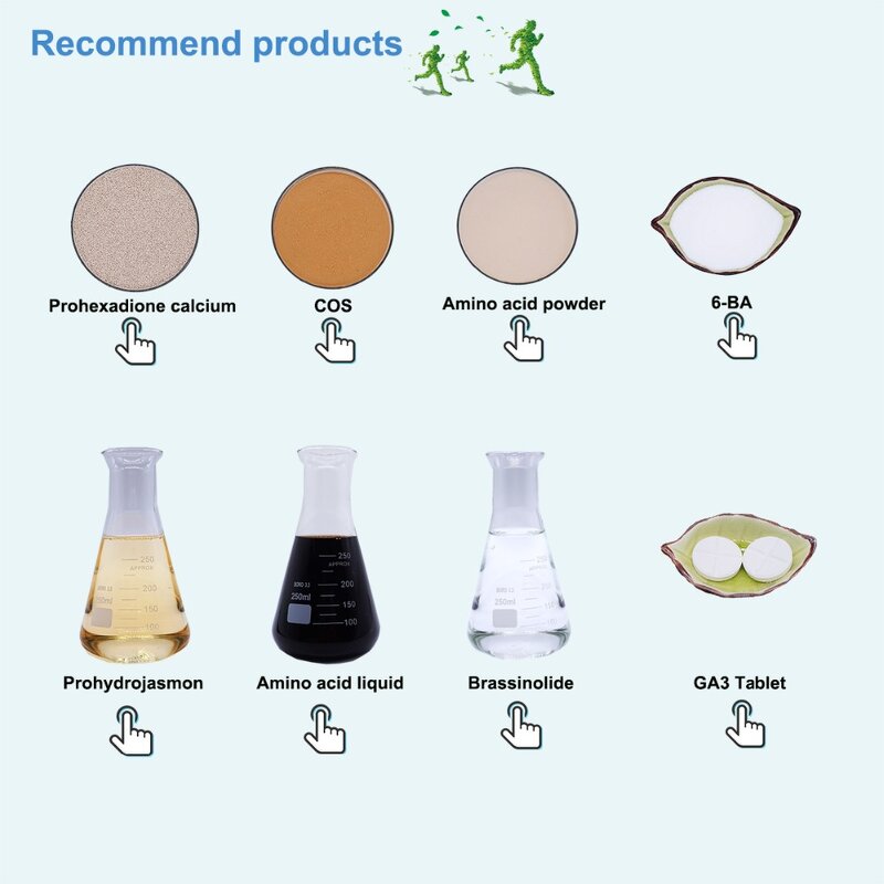 Chlorfenapyr Insecticide - 24% SC Formulation Agriculture Pest Control