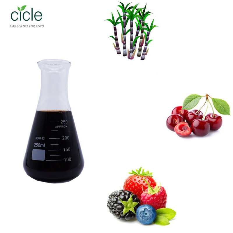 Liquid Amino Acid Fertilizer - Organic Hot Sale Free Sample