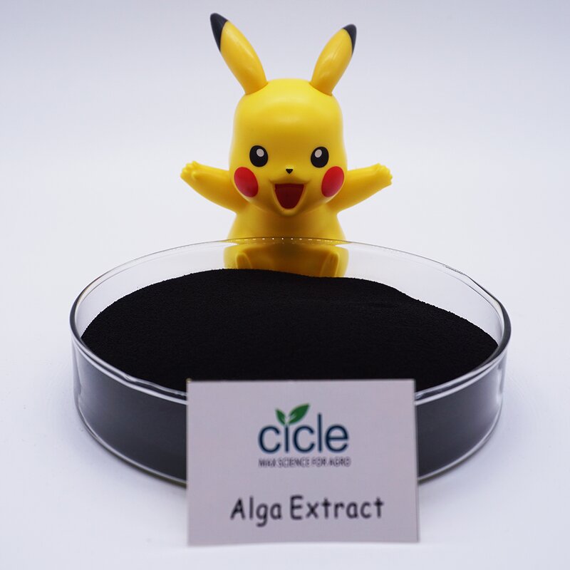 Seaweed Extract Powder - Alga Bio Organic Fertilizer for Agriculture