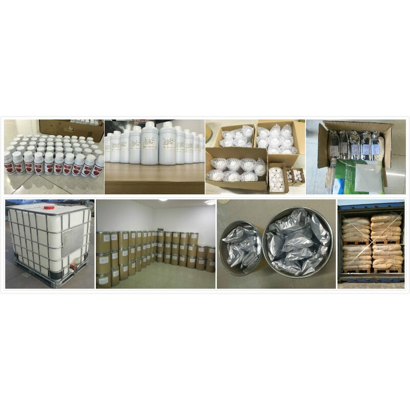 Bacillus Mucilaginosus BM - White Powder Solubilize Phosphorous Soil Organic Farming