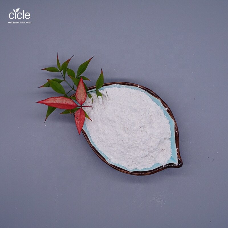 Abamectin TC - 95% Technical Powder CAS 71751-41-2 Good Insecticide