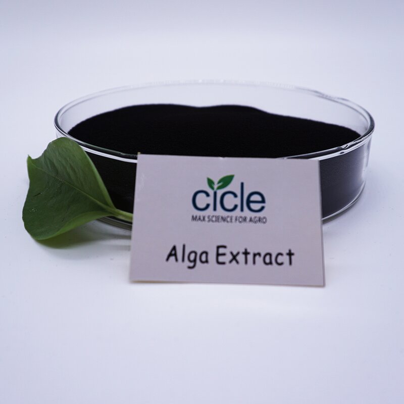Seaweed Extract Alga 70 - 100% Water Soluble Organic Fertilizer Factory Price