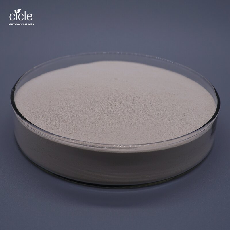 Emamectin Benzoate - 5% DF WDG Biological Insecticide CAS 155569-91-8