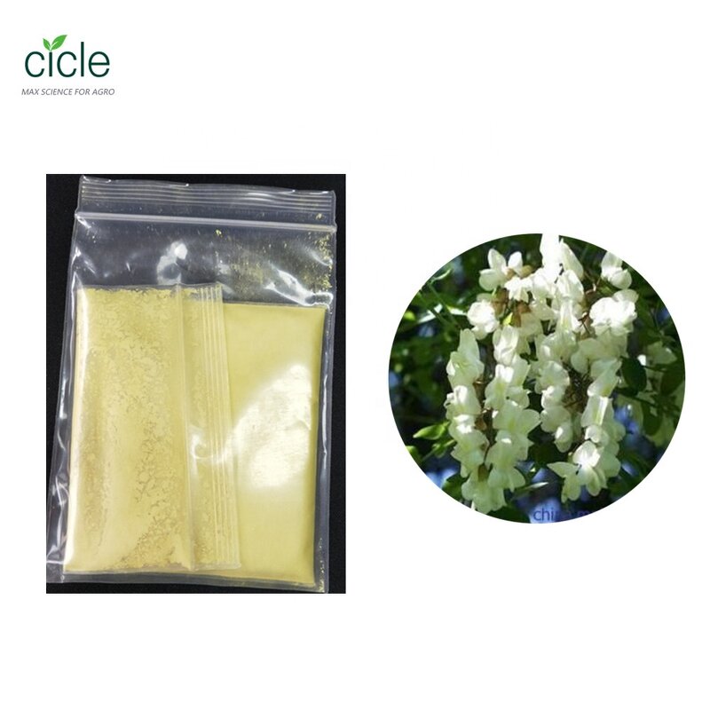 Quercetin Powder - Plant Extract FLAVIN MELETIN CAS 117-39-5