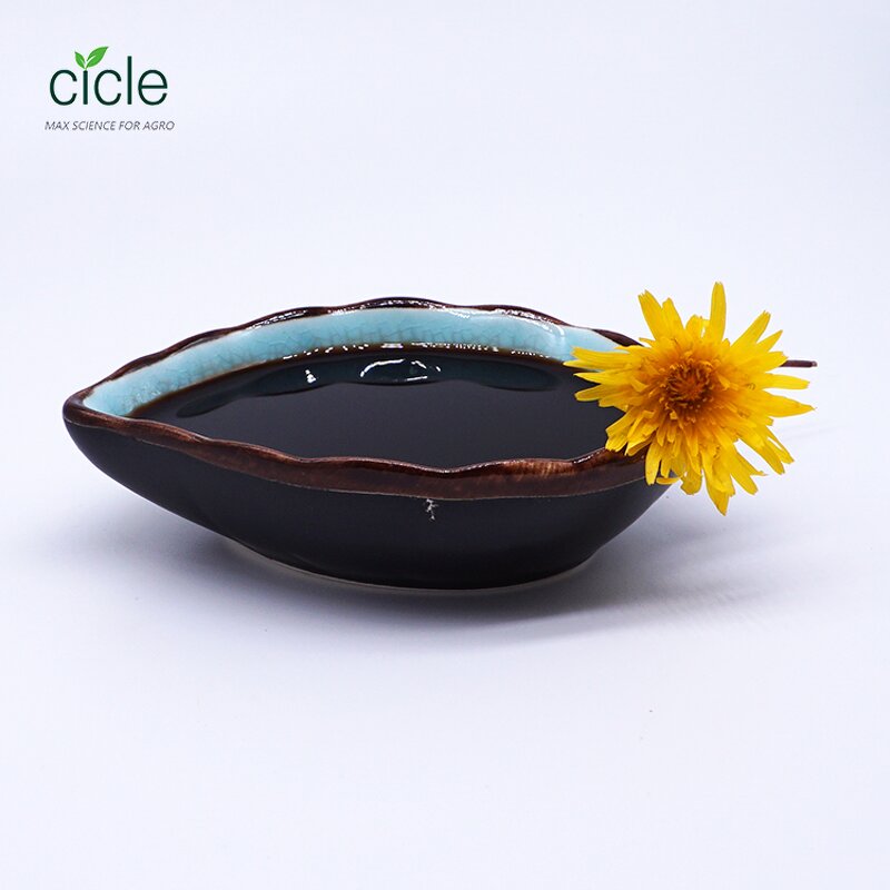 Green Tea Saponin Liquid - Organic Fertilizer Insect Killer Good Price