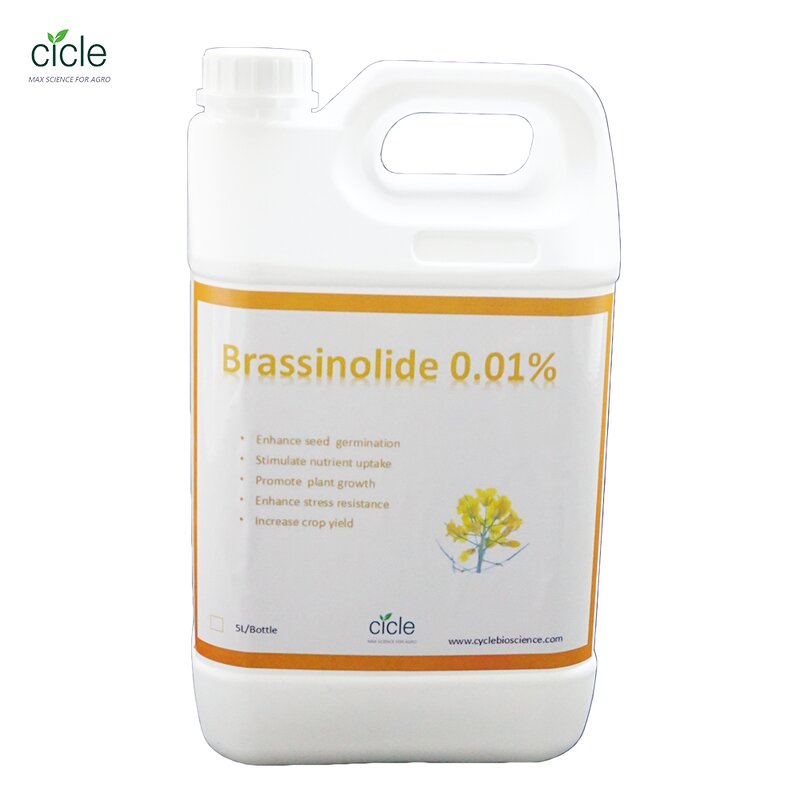 Brassinolide Formulation - 0.01% Plant Hormone Increase Crop Yield