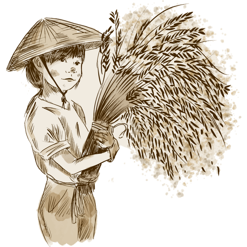 Compound Amino Acid Powder - 80% Plant Source Stable Organic Fertilizer