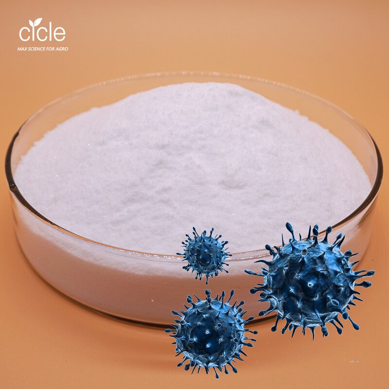 Azoxystrobin Pyroxystrobin - 60% WDG DF New Tech Fungicide