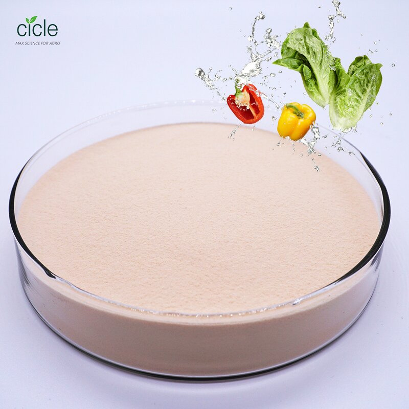 Amino Acid 80 Powder - Mix Humic Fulvic Acid Enhance Plant Growth