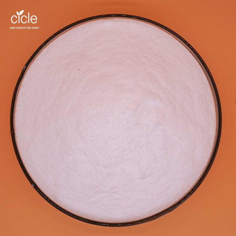 Pymetrozine Insecticide - 97% TC CAS 123312-89-0 Low Pollution