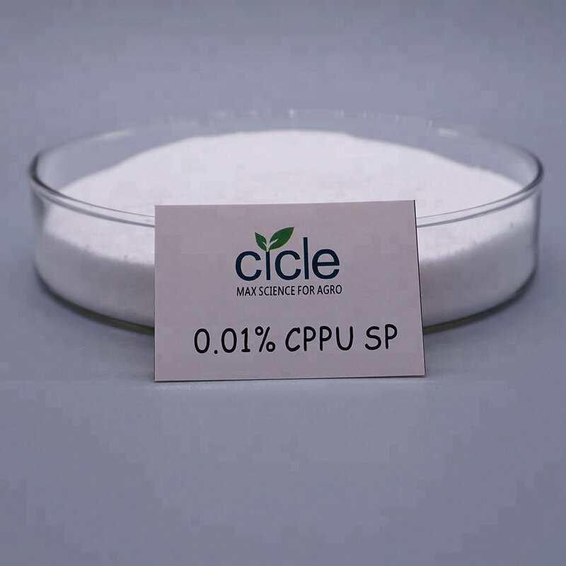 Forchlorfenuron CPPU - 99% TC Plant Growth Regulator for Crops