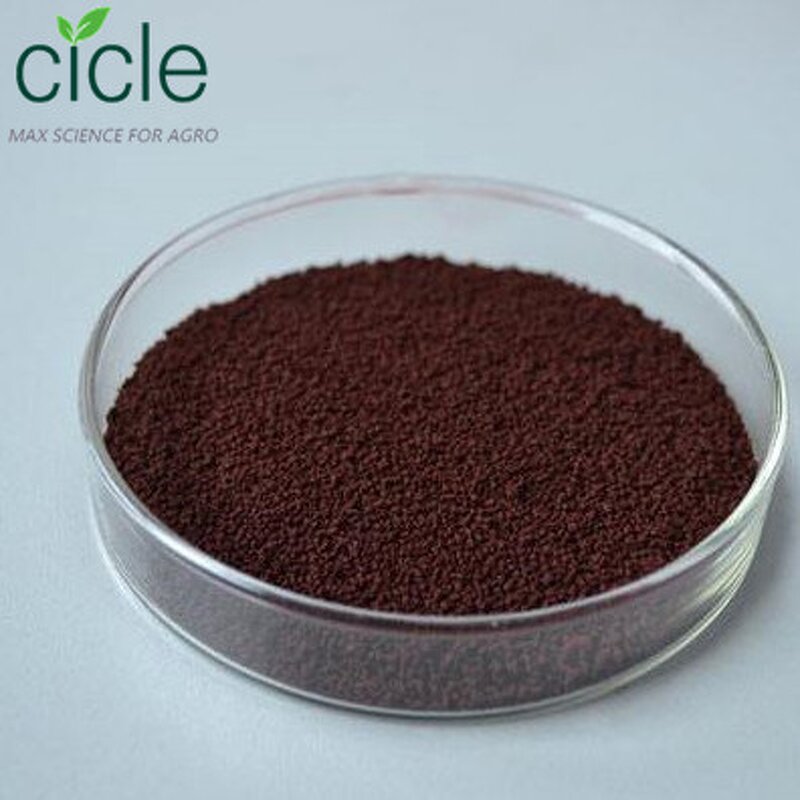 EDDHA Fe 6% Fertilizer - Chelated Iron Micronutrient for Plants