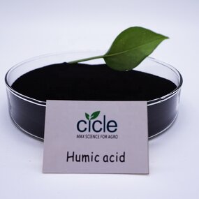Humic Acid Powder - Leonardite Raw Material Bulk Agriculture Supply
