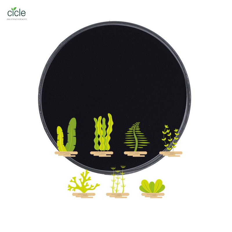 Seaweed Extract Alga 50 - Organic Powder Fertilizer Free Sample