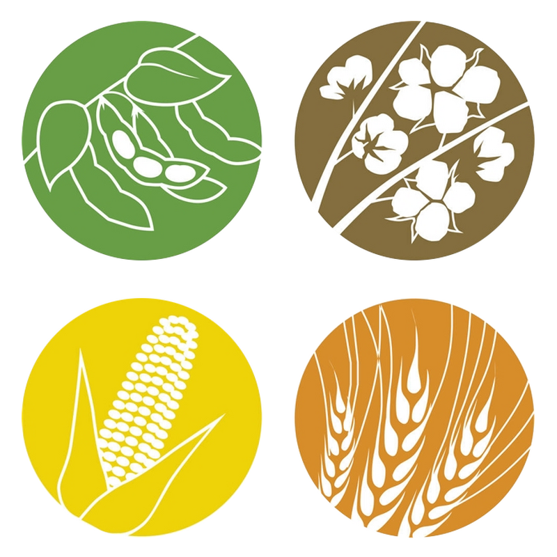 Potassium Humate Granular - Organic Fertilizer Good Price Free Sample