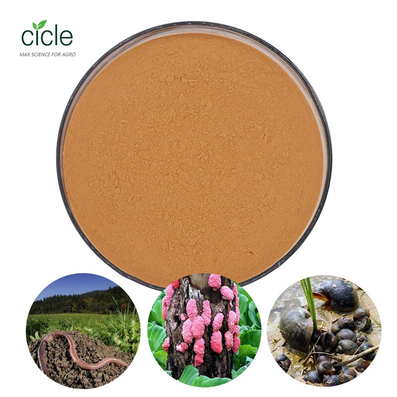 Tea Saponin Insecticide - Kill Ampullaria Gigas Rice Fields Free Sample