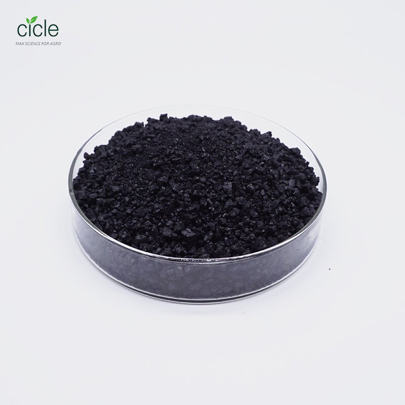 Potassium Humate Granular - Organic Fertilizer Good Price Free Sample