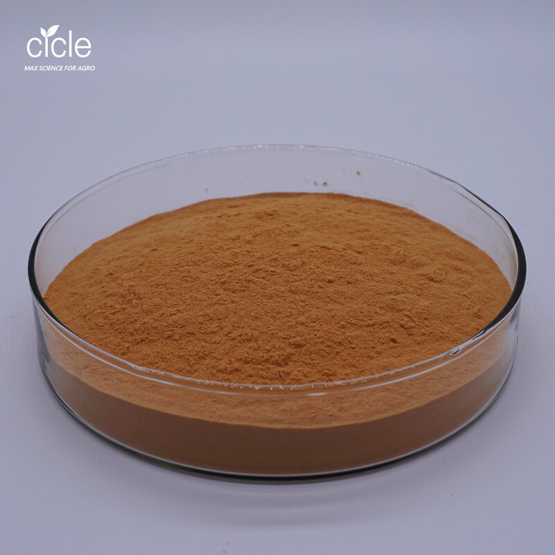 Bacillus Thuringiensis Bt - Organic Pesticide High Effect Free Sample CAS 68038-71-1