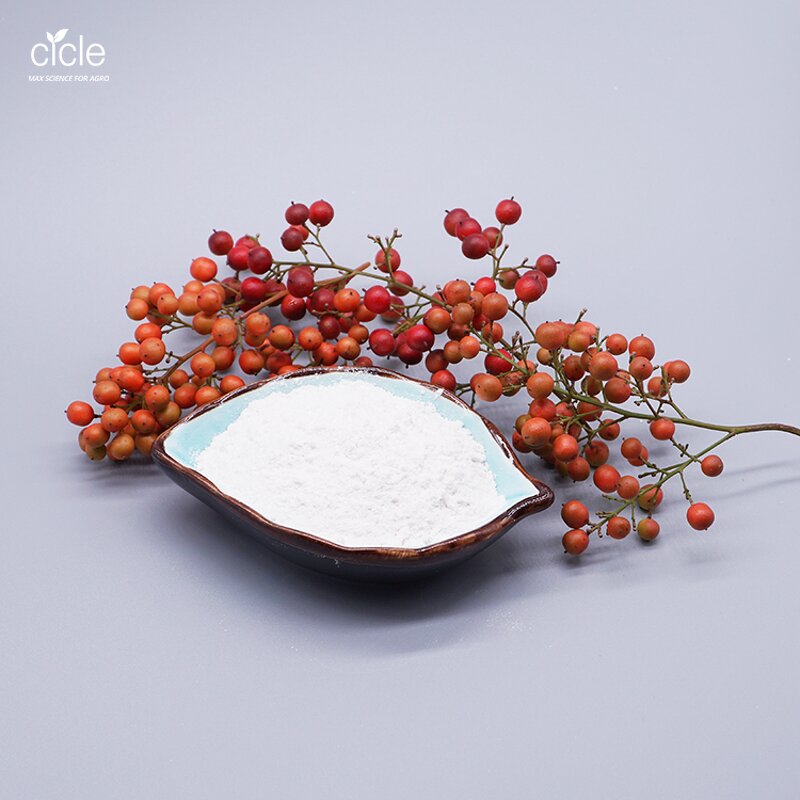 Betaine Anhydrous - Glycine Betaine Feed Agriculture Grade Raw Material