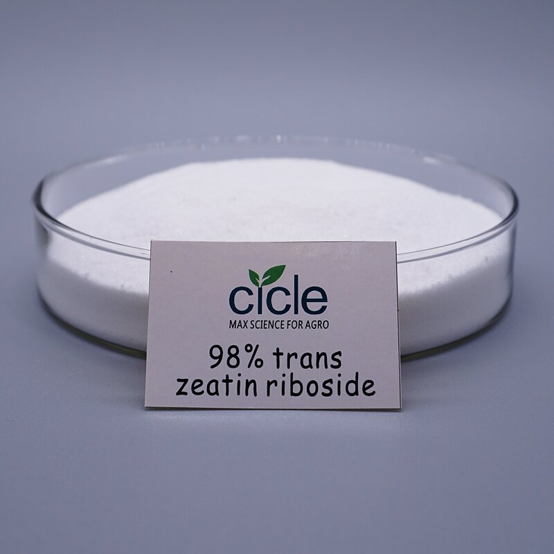 Trans-Zeatin Riboside - CAS 6025-53-2 High Quality Agricultural Grade