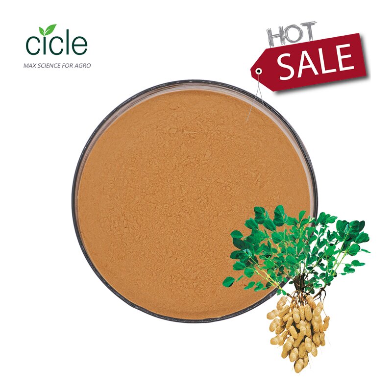 Polyglutamic Acid PGA - L-glutamicacid Polymer Fertilizer Synergist Yield