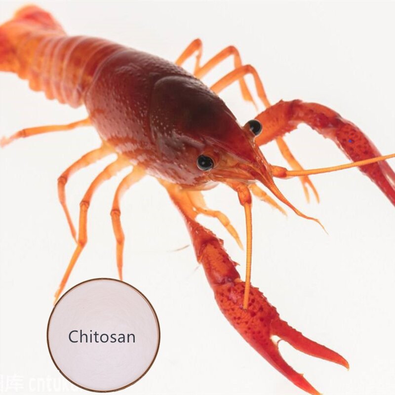 Chitosan Oligosaccharide COS - 90% Raw Material Enhance Disease Resistance