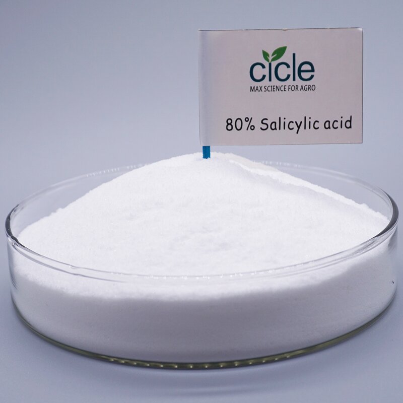 Salicylic Acid - 99% TC Fruit Anti-cracking Sample Available