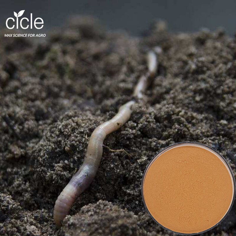 Tea Saponin Fertilizer - Agro Tech Kill Earthworm Ampullaria Turf Rice