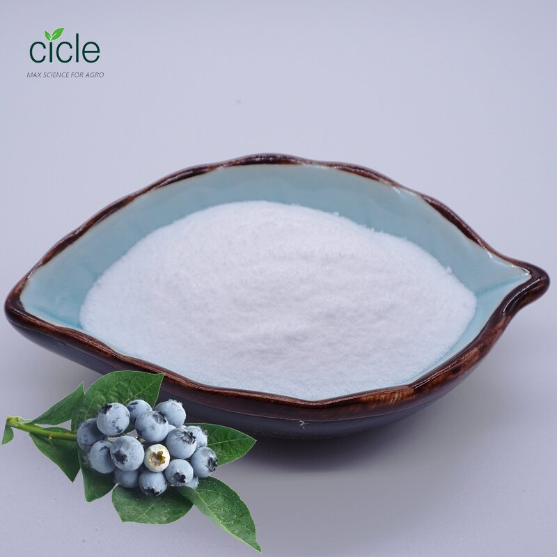 Dinotefuran Insecticide - 98% TC CAS 165252-70-0 Effective Pest Control