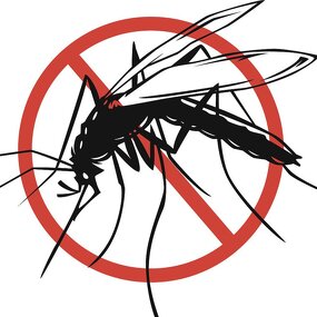 Bacillus Thuringiensis Kurstaki BTK - Chinese Factory Price Mosquito Larvae Destroying