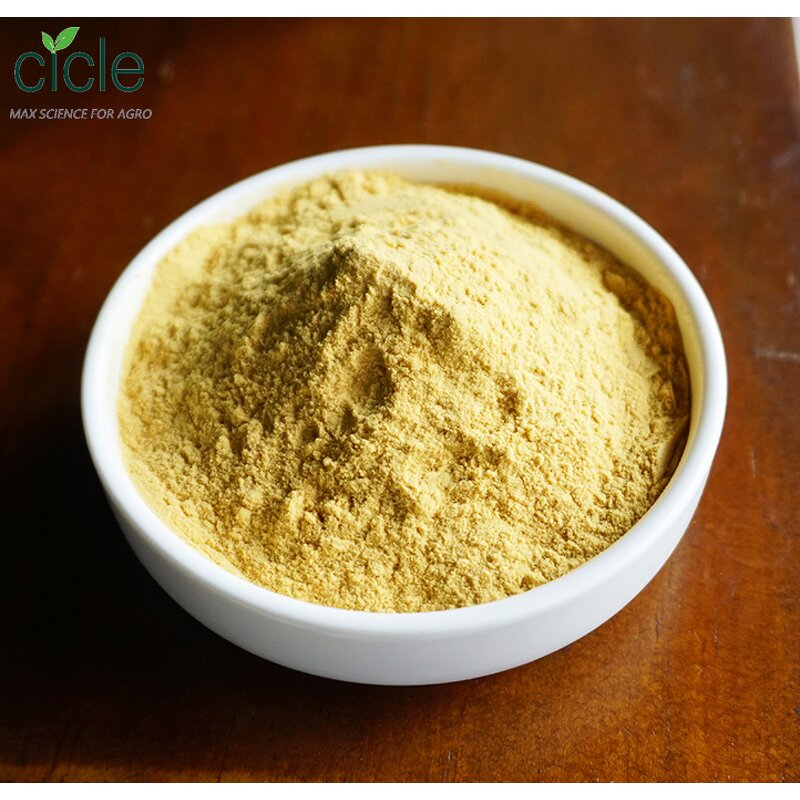Folic Acid Powder - Food Feed Grade CAS 59-30-3 Vitamin B9