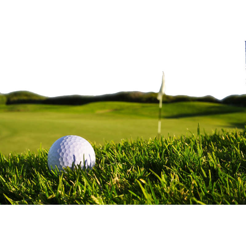 Tea Seed Saponin Liquid - 35% Saponin Rich Biopesticide Fertilizer