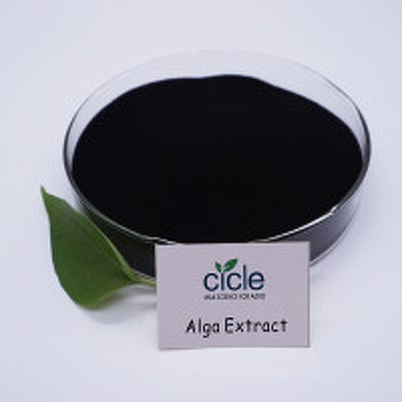 Alga 50 Meal - Laminaria Sp Seaweed Extract Improve Plant Health