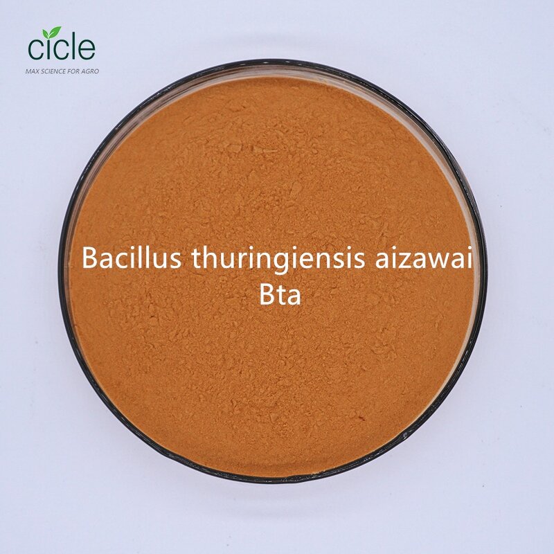 Bacillus Thuringiensis Aizawai Bta - Bt Powder CAS 68038-71-1 Biological Pesticide