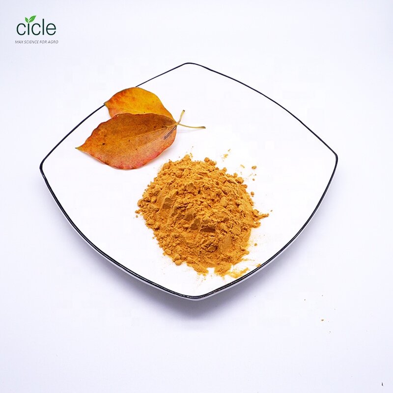 Bacillus Subtilis - Biofungicide 1000x108/g CFU Organic Farming Grade