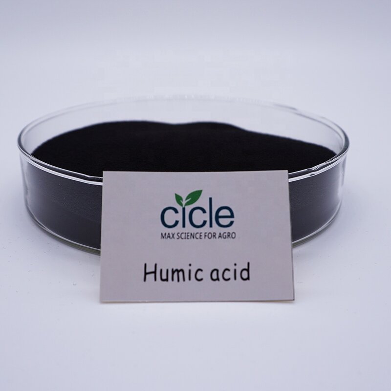 Potassium Humate Powder - 98% Water Soluble Humic Acid Fertilizer Good Price